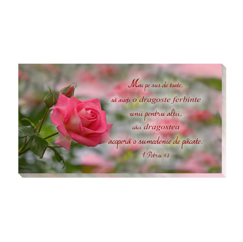 Tablou canvas - Mai presus de toate (25x50 cm) Tablou canvas - Mai presus de toate (25x50 cm)