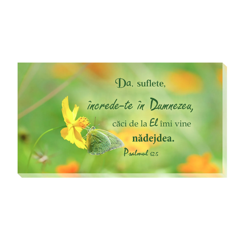 Tablou canvas - Da suflete încrede-te în Dumnezeu (25x50 cm) Tablou canvas - Da suflete încrede-te în Dumnezeu (25x50 cm)