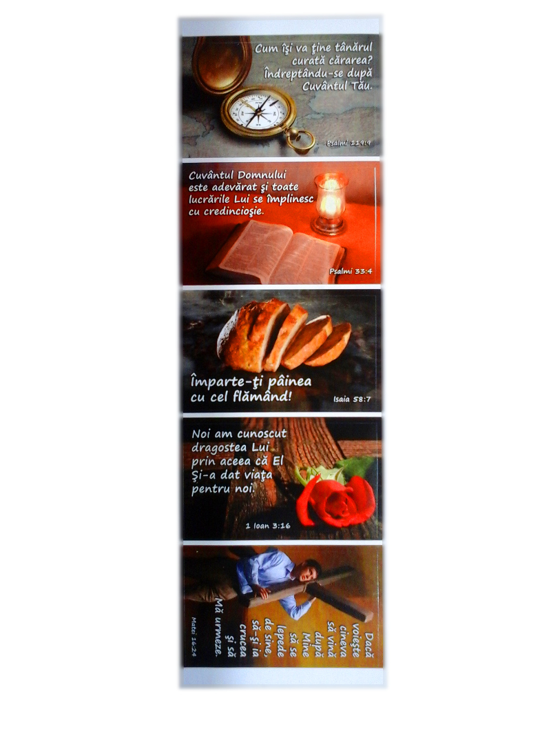 Set 5 abtibilduri, model 2 Set 5 abtibilduri, model 2