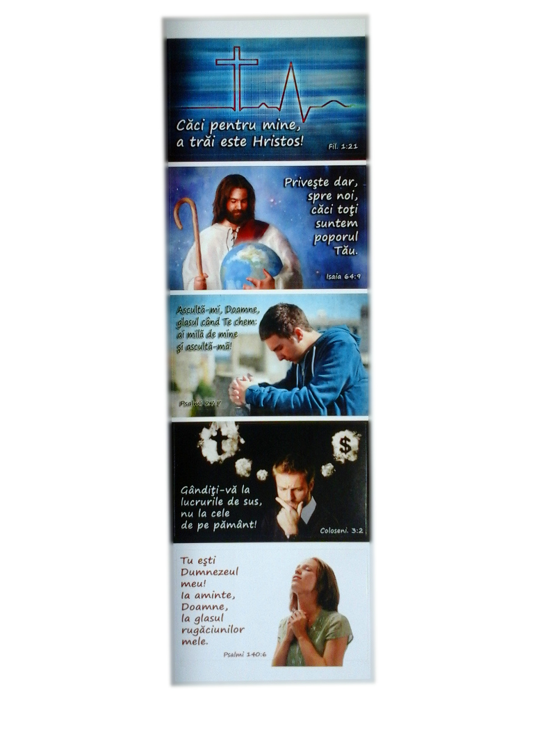 Set 5 abtibilduri, model 4 Set 5 abtibilduri, model 4