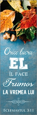 Semn de carte - Orice lucru El il face frumos la vremea lui! (28) Semn de carte - Orice lucru El il face frumos la vremea lui! (28)