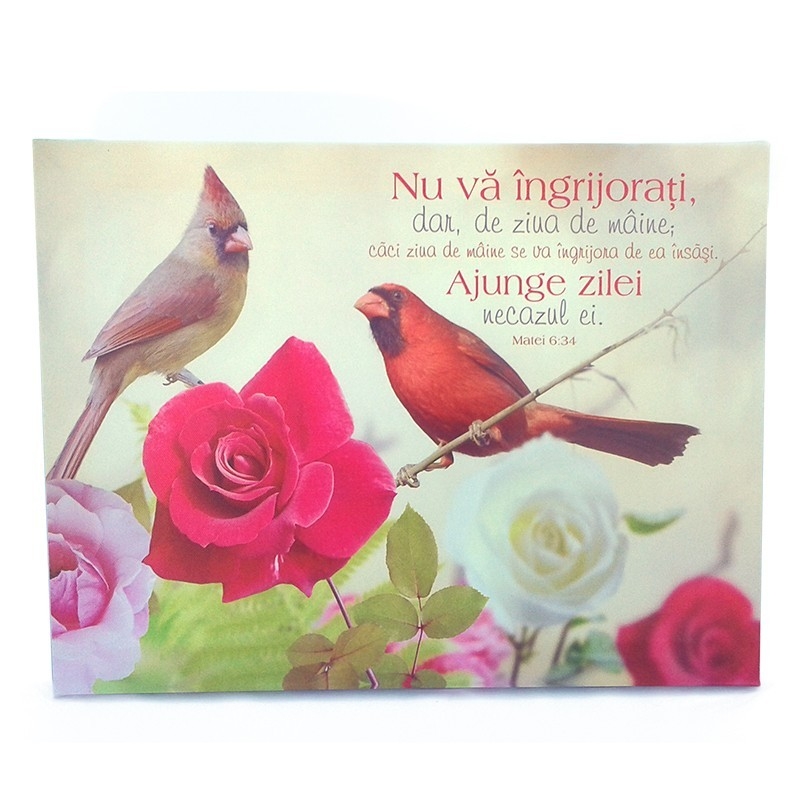 Tablou canvas - Nu va ingrijorati  (30x40 cm)