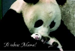 Felicitare - Te iubesc mama! Felicitare - Te iubesc mama!