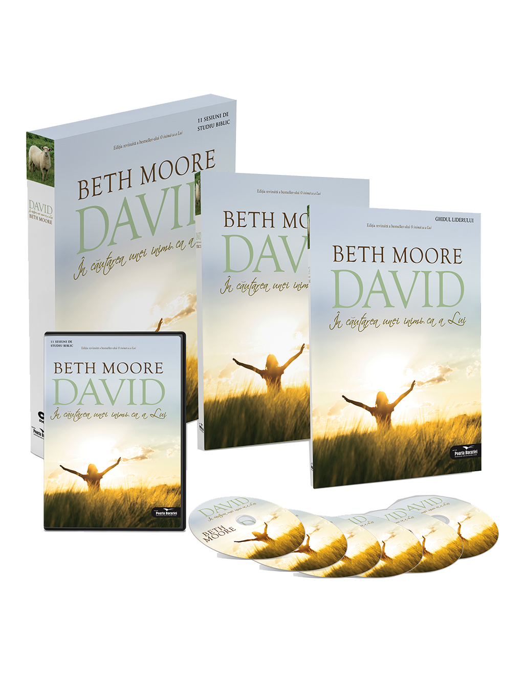 David – Setul liderului David – Setul liderului