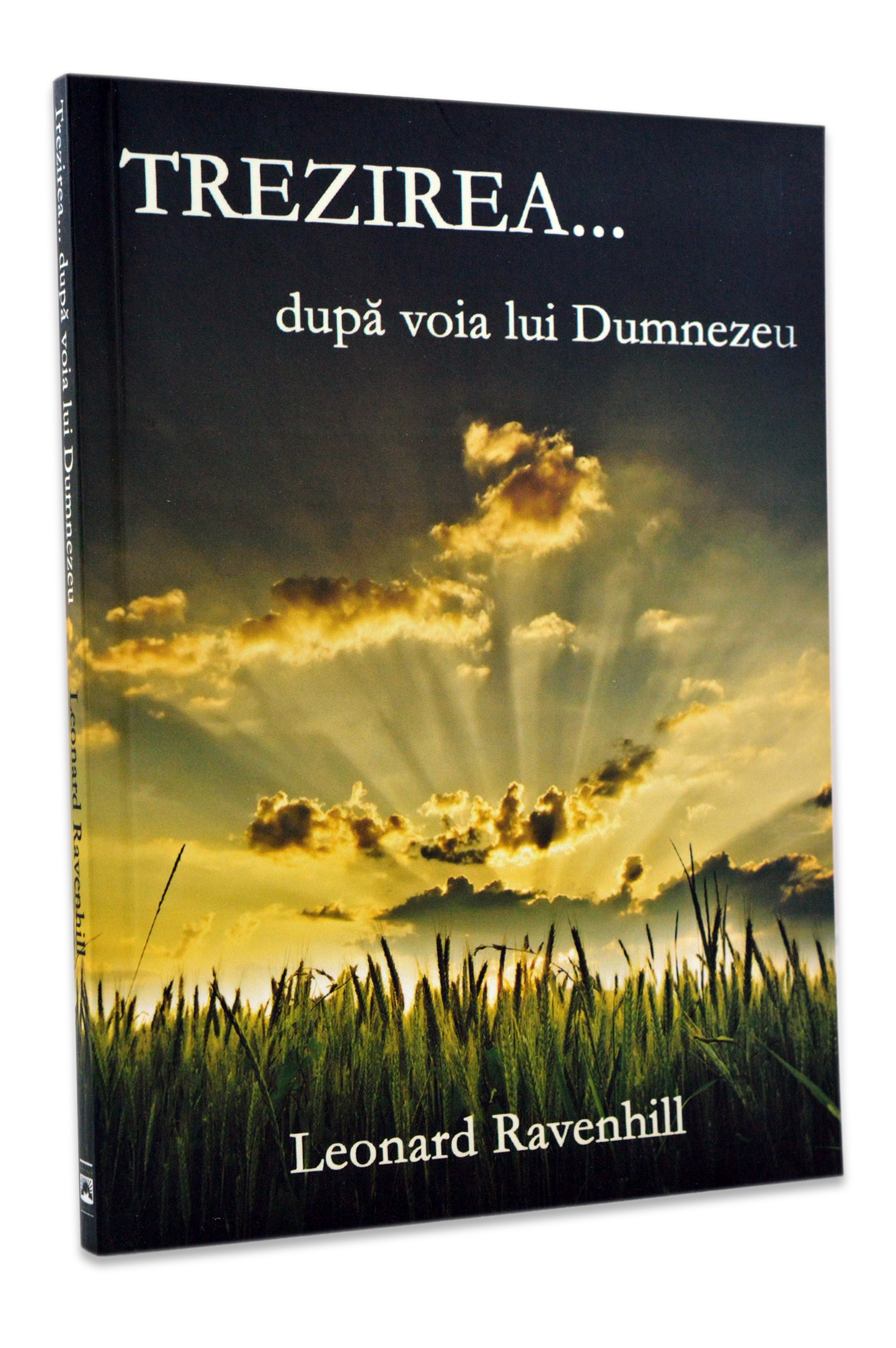 Trezirea... dupa voia lui Dumnezeu