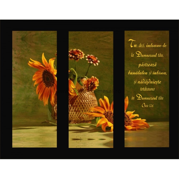 Placheta catifea - Tu pastreză bunatatea și iubirea Placheta catifea - Tu pastreză bunatatea și iubirea