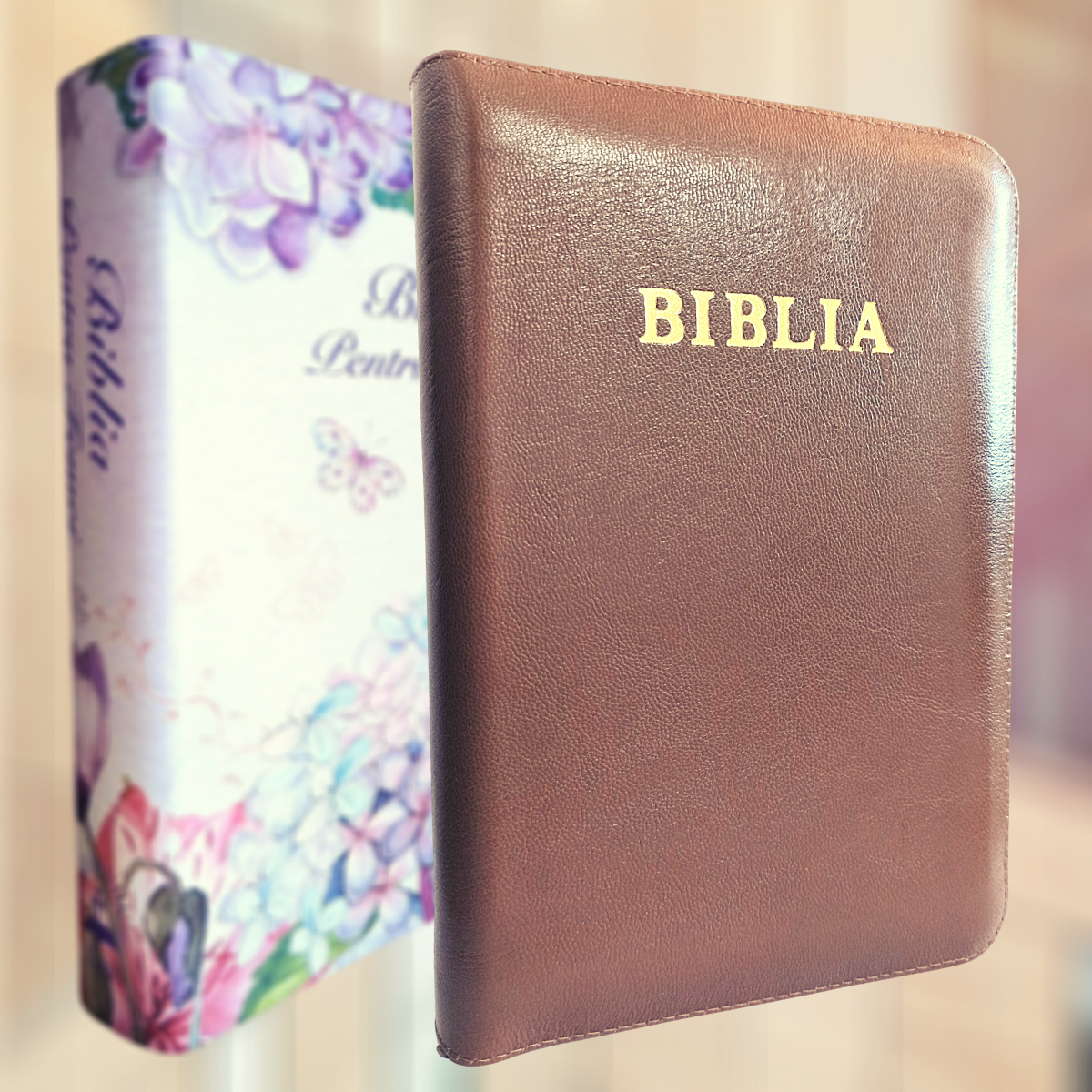 Biblia de studiu pentru femei, in piele, cafenie, marime medie, fermoar, margini argintii, cuv. lui Isus cu rosu