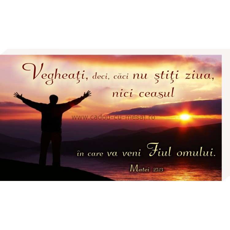 Placheta birou - Vegheati