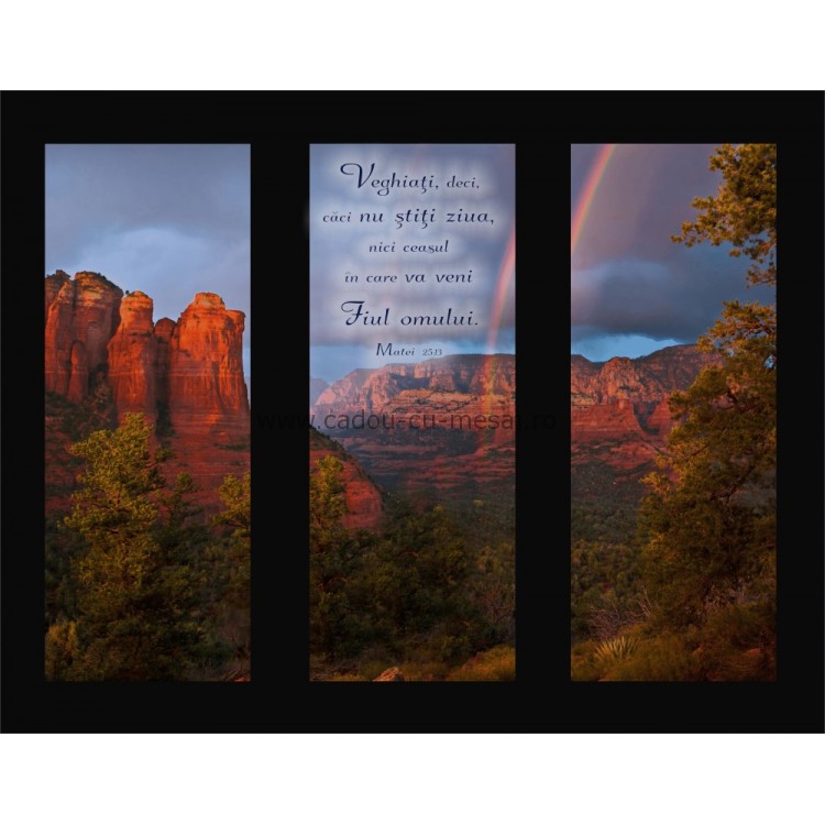 Placheta catifea - Vegheati deci Placheta catifea - Vegheati deci