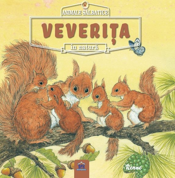 Animale salbatice in natura - Veverita Animale salbatice in natura - Veverita