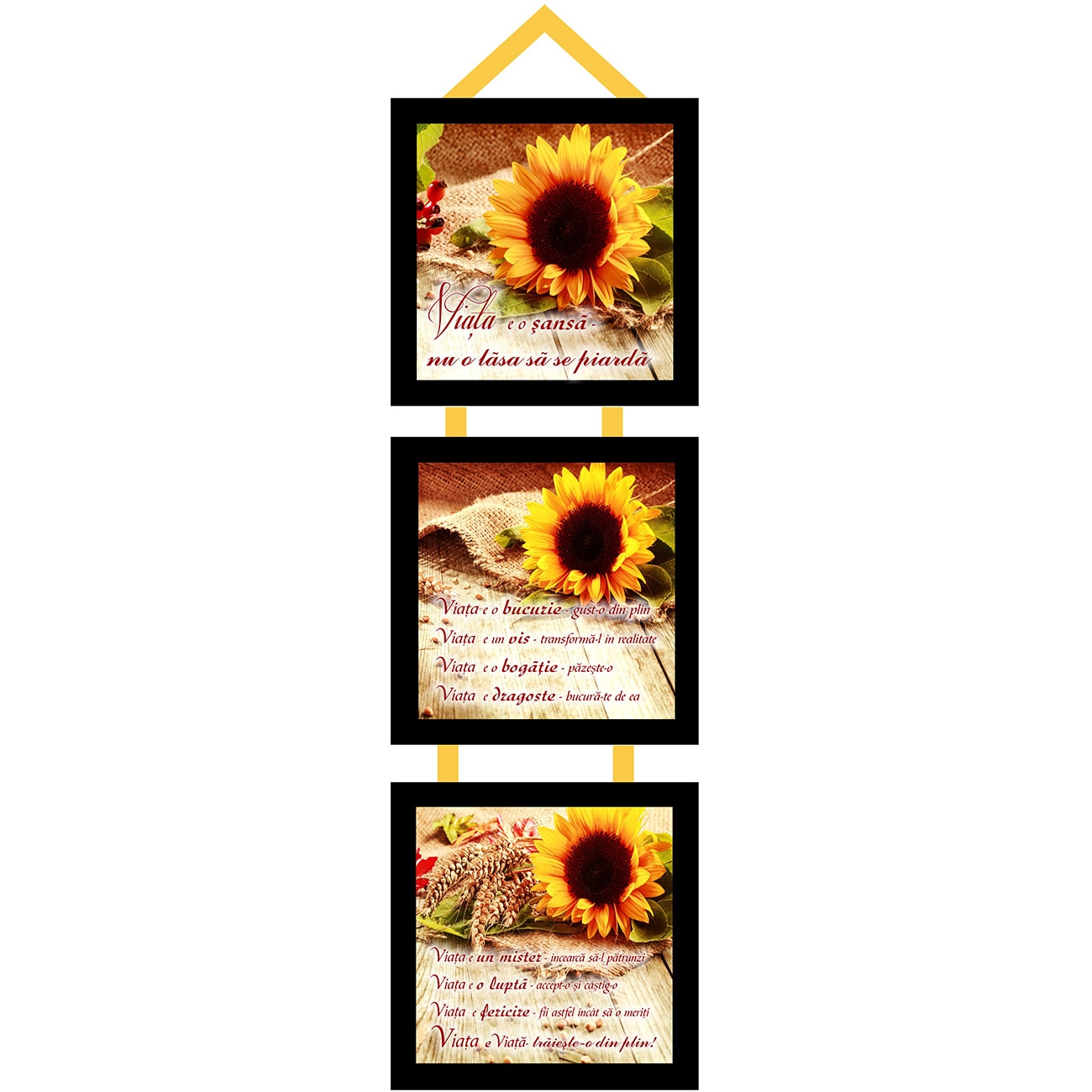 Set 3 mini tablouri - "Viața e o șansă..." Set 3 mini tablouri - "Viața e o șansă..."