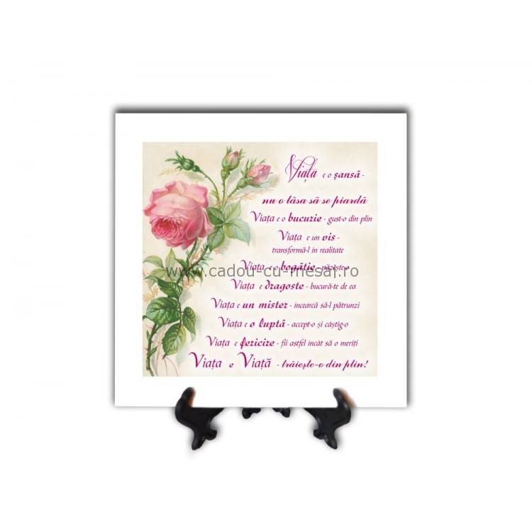Tablou vintage - Viața e o șansă (20x20 cm) Tablou vintage - Viața e o șansă (20x20 cm)