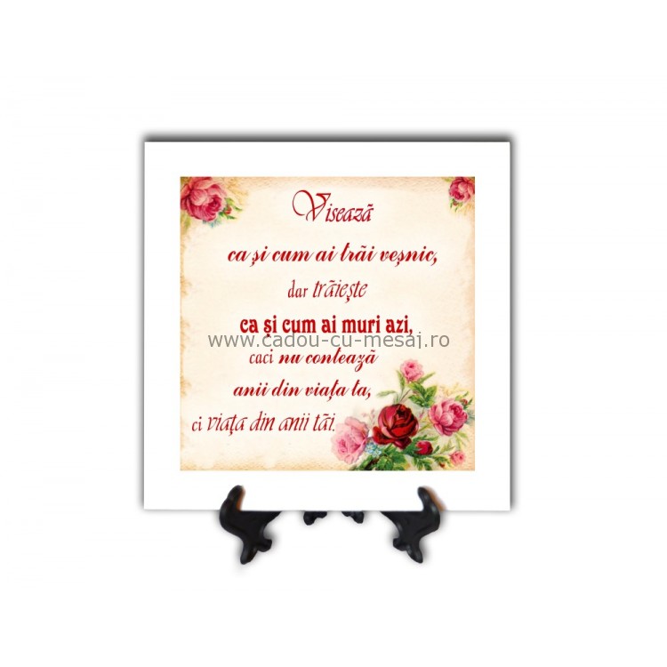 Tablou vintage - Visează ca și cum ai trăi veșnic (20x20 cm) Tablou vintage - Visează ca și cum ai trăi veșnic (20x20 cm)