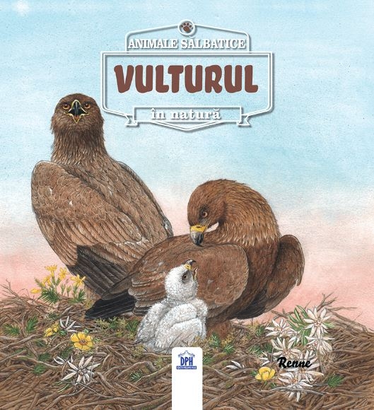 Animale salbatice in natura - Vulturul Animale salbatice in natura - Vulturul