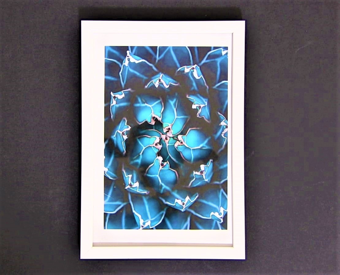 Rama foto alba (10x15cm) Rama foto alba (10x15cm)