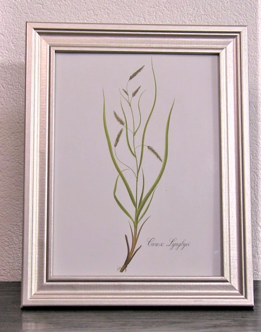 Rama foto, bej (18x24cm) Rama foto, bej (18x24cm)