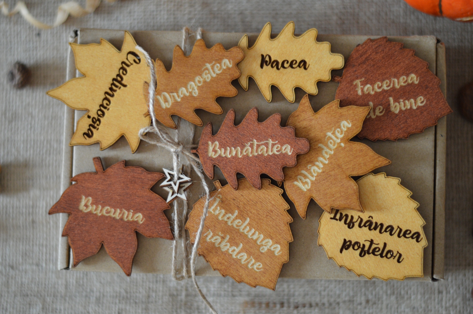 Set 9 magneti de frigider, din lemn - Roada Duhului Sfant Set 9 magneti de frigider, din lemn - Roada Duhului Sfant