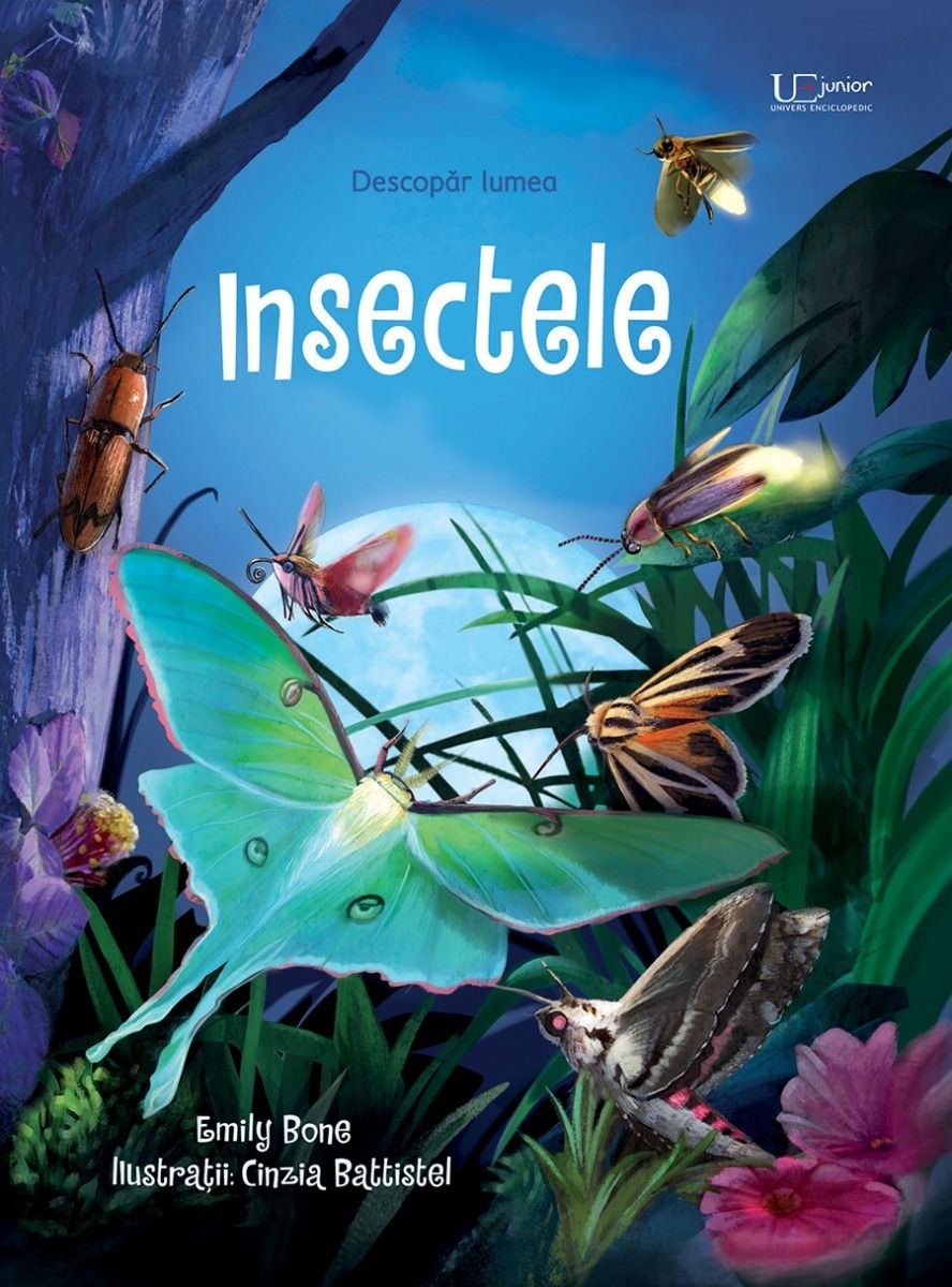Insectele Insectele