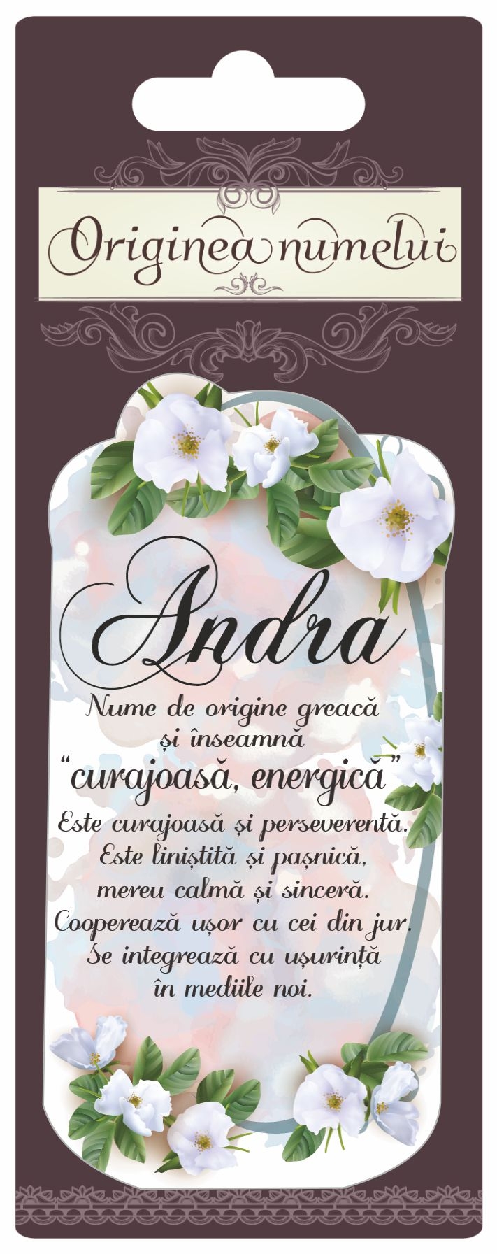 Magnet - Andra ( 10 cm x 5 cm )