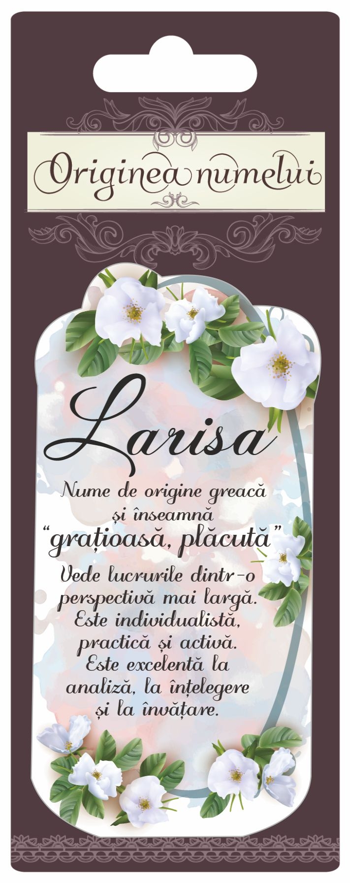 Magnet - Larisa ( 10 cm x 5 cm ) Magnet - Larisa ( 10 cm x 5 cm )
